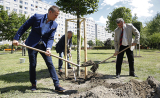Újabb parkberuházás Győrött